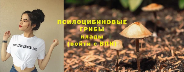 мдма Богородицк