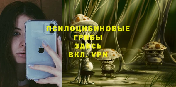 mdma Богородск